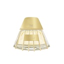 TESTER Shell Oro Perfume Tester  100 ML -  By Rich & Ruitz