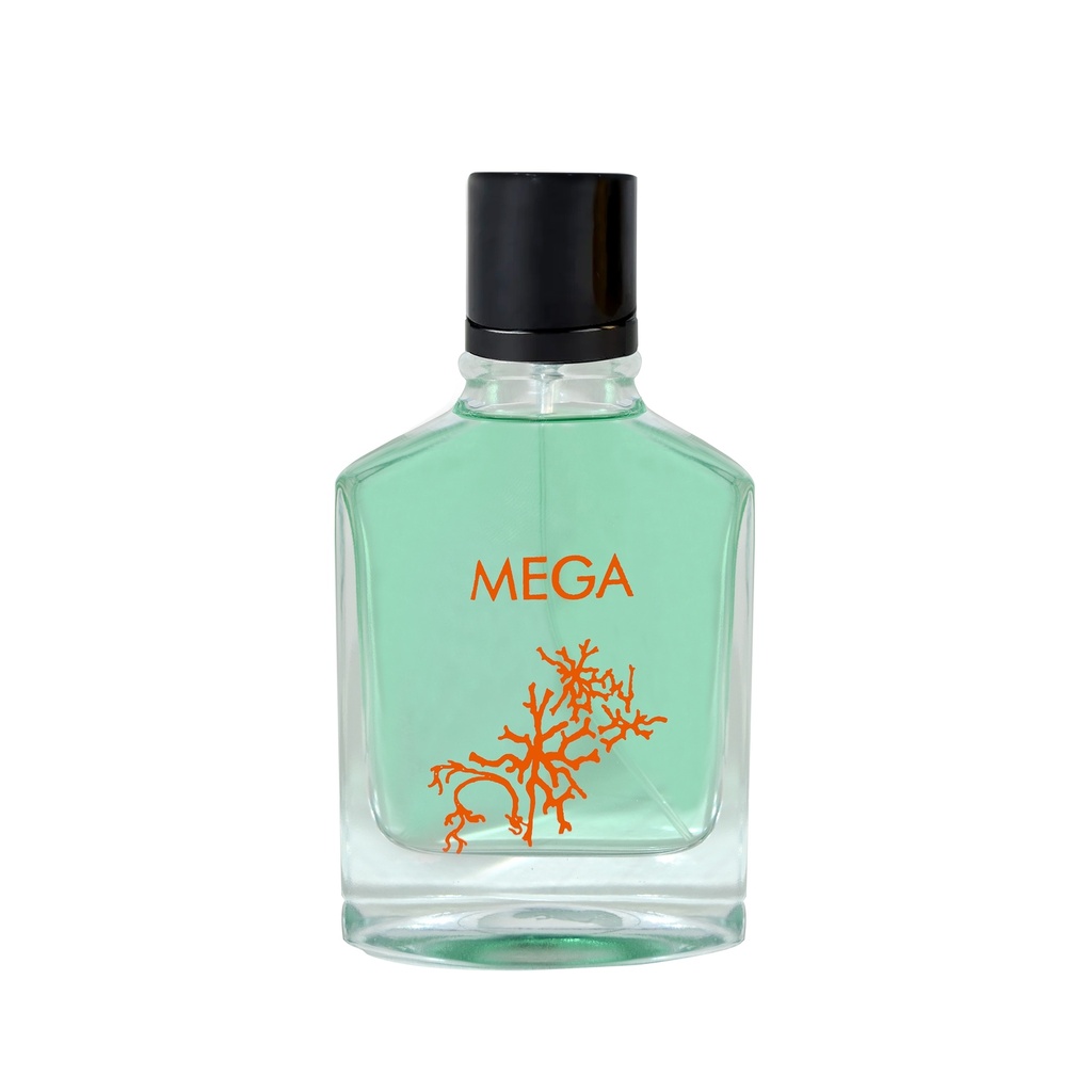 MEGA Perfume  100 ML - CLASSIC COLLECTION By Maison Amara